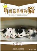 听说你是我的猫[星际