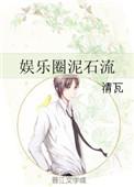 泥石流 娱乐圈