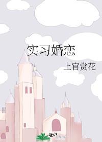 实习婚恋言情