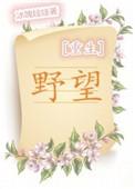 诗词野望