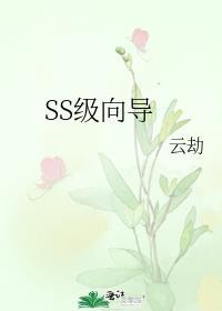 ss级向导和哨兵治疗