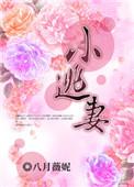 小逃妻桓素舸为什么嫁给女主的爹