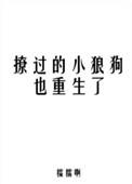 撩过的小狼狗也重生了讲什么