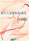 顾大人结局