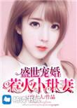 盛世宠婚惹火小甜心甜妻