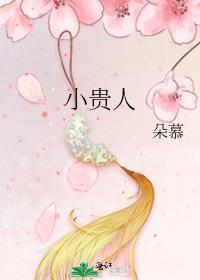 小贵人免费阅读全文无删减