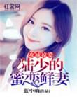 攻城掠受在线阅读