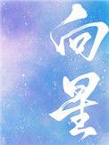 向星讲的什么
