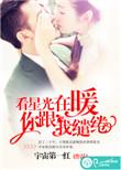 我看着星光闪耀什么歌