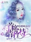 隐婚99天首长请矜持txt