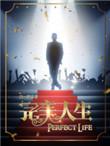 完美人生游戏破解版
