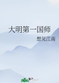 大明第一帅全部作品