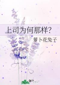 上司为何那样免费阅读无弹窗