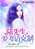 爱妻请克制君子来归盛家跟陆