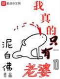 我真的只有一个老婆起点