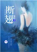 断翅by