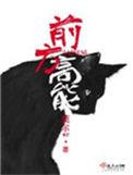 前方高能TXT
