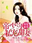深度蜜爱帝少的私宠暖妻 爆米花