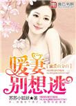 总裁宠妻无下线