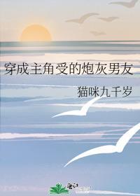 穿成主角受的炮灰男友北星落