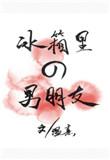 冰箱里的男朋友讲的什么