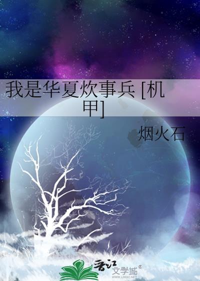 我是华夏炊事兵烟火石