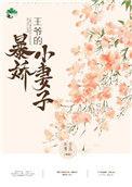 王爷的娇宠王妃
