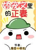 娇宠文里的正妻免费阅读