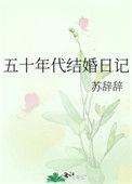 五十年代结婚日记简介