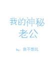 我的神秘老公白雅免费阅读无广告