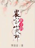 世子的农家小夫郎宝书