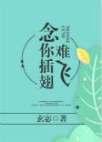 书名念你插翅难飞