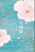 小团圆在线阅读免费