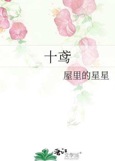 十鸢 屋里的星星