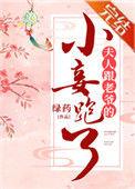 夫人跟老爷的小妾跑了读零零