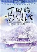 丁田的古代生活在线阅读