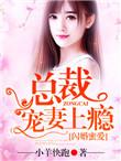 闪婚蜜宠总裁搭伙