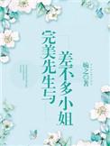 完美先生与差不多小姐电视剧全集免费