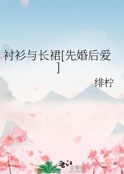 衬衫 长裙
