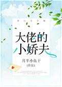 大佬的小娇夫月半小鱼干无防盗