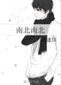 南北是啥子意思