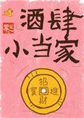 酒当家全部系列