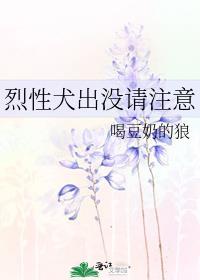 歌词是念念不忘