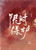限时保护罩和保护罩