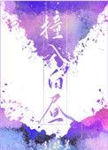 撞入白昼讲什么
