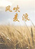 风吹麦浪稻花香黑土地