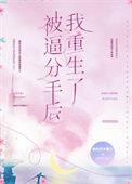 被逼分手后我重生了晋江