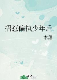 招惹偏执少年后 木甜晋江