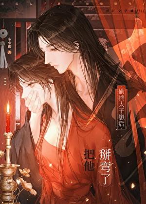 偷揣太子崽后把他掰弯了by