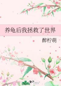 我养的龟